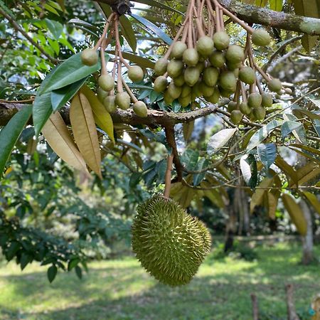Kebun Puisi Villa กาจัง ภายนอก รูปภาพ