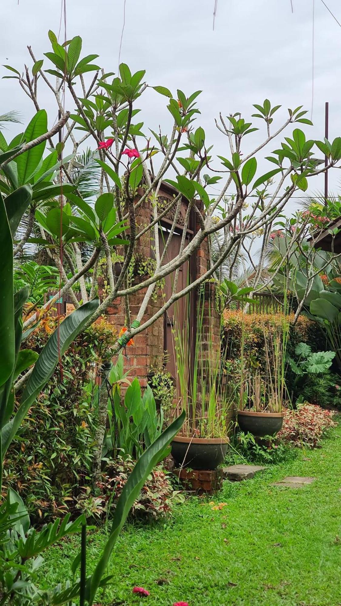 Kebun Puisi Villa กาจัง ภายนอก รูปภาพ